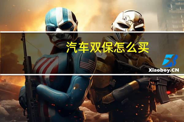 汽车双保怎么买