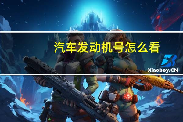 汽车发动机号怎么看