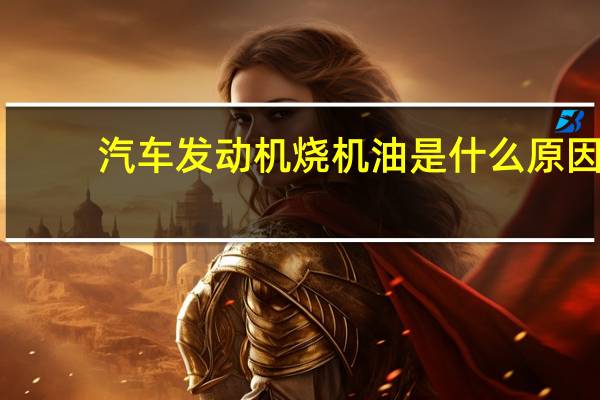 汽车发动机烧机油是什么原因