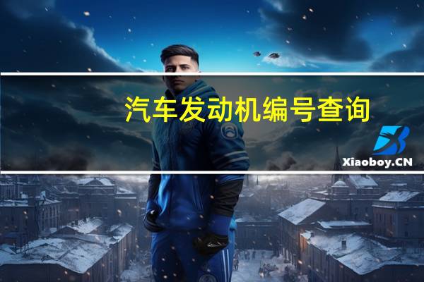 汽车发动机编号查询