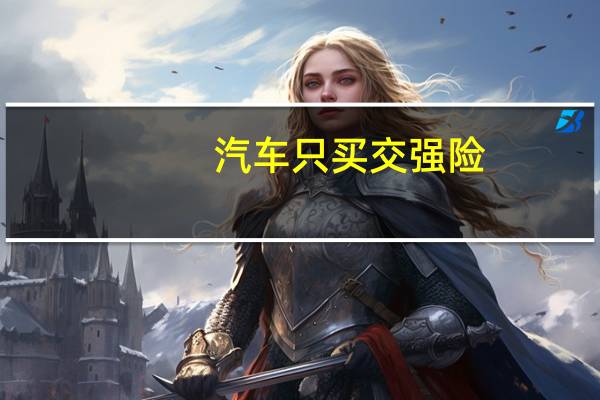 汽车只买交强险