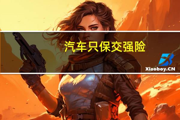 汽车只保交强险