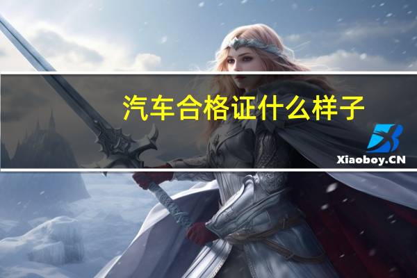 汽车合格证什么样子