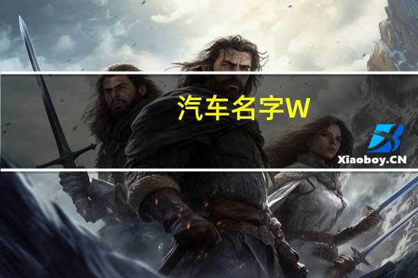 汽车名字W
