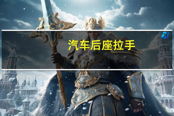 汽车后座拉手