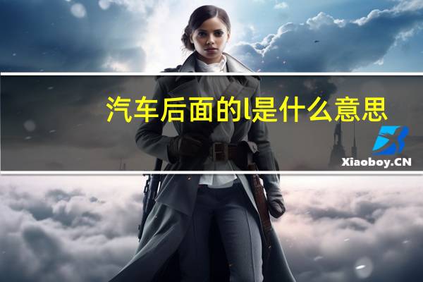 汽车后面的l是什么意思
