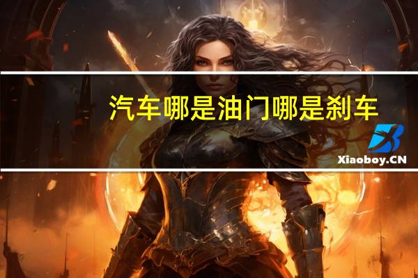 汽车哪是油门哪是刹车