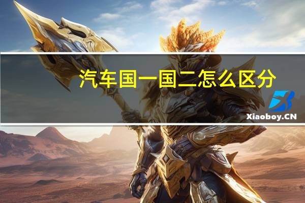 汽车国一国二怎么区分