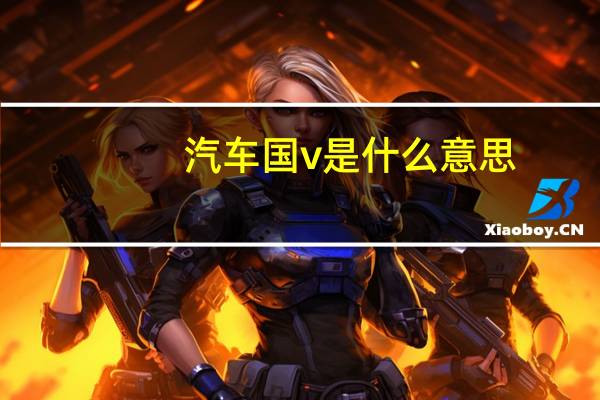 汽车国v是什么意思