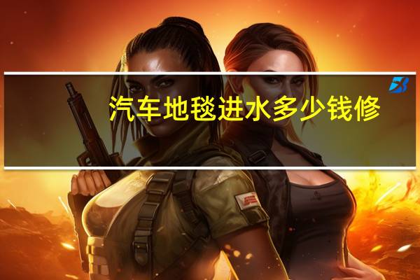 汽车地毯进水多少钱修