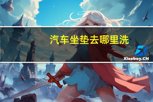 汽车坐垫去哪里洗