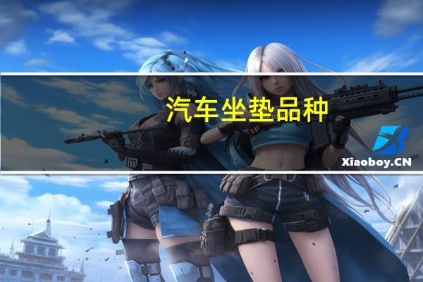 汽车坐垫品种