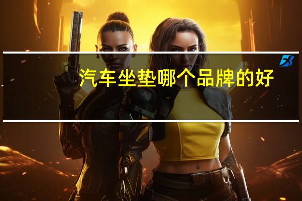 汽车坐垫哪个品牌的好