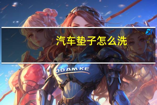 汽车垫子怎么洗