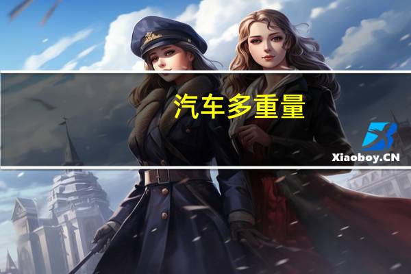汽车多重量