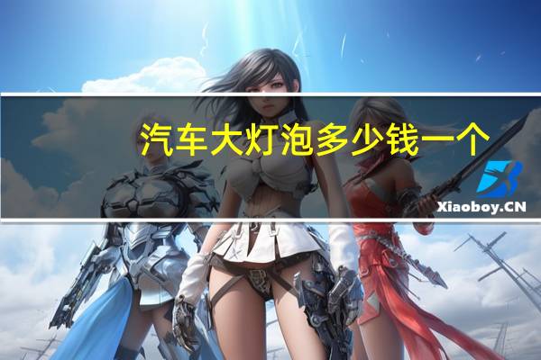 汽车大灯泡多少钱一个