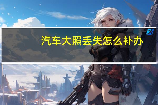 汽车大照丢失怎么补办