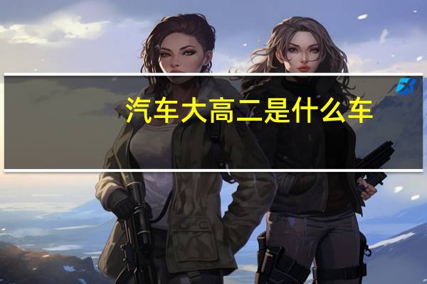 汽车大高二是什么车