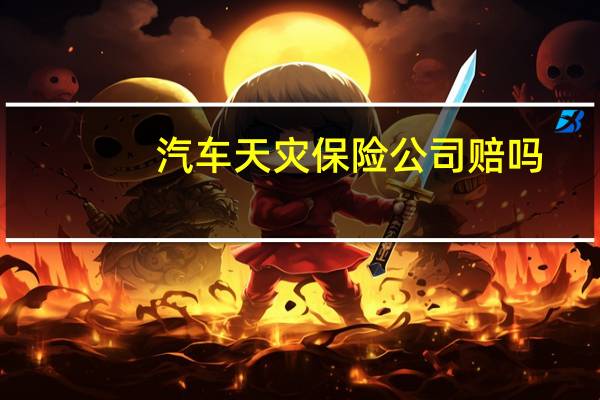 汽车天灾保险公司赔吗