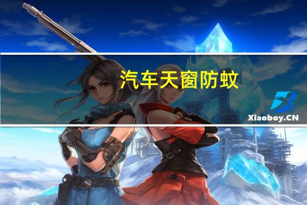 汽车天窗防蚊