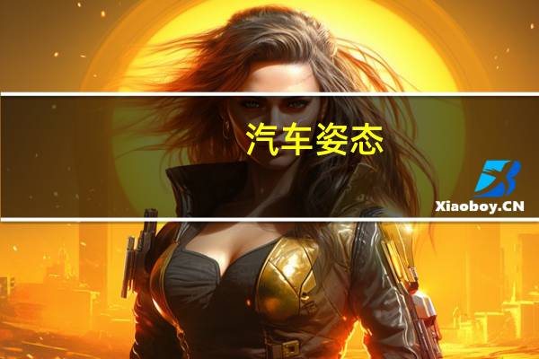 汽车姿态