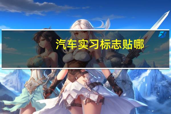 汽车实习标志贴哪