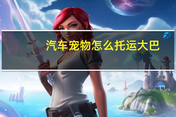 汽车宠物怎么托运大巴