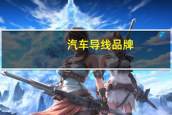 汽车导线品牌