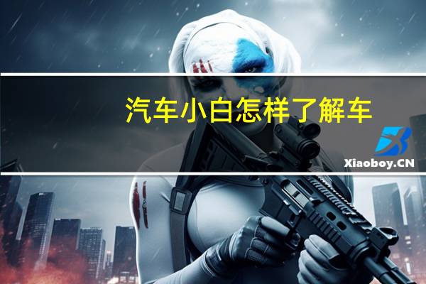 汽车小白怎样了解车