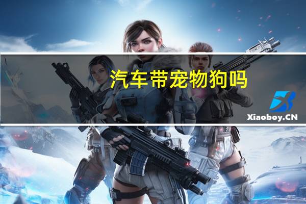 汽车带宠物狗吗