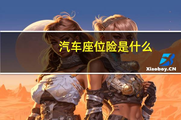 汽车座位险是什么