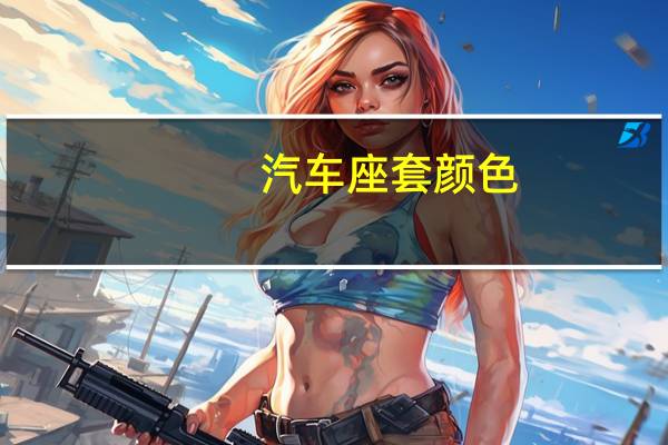 汽车座套颜色