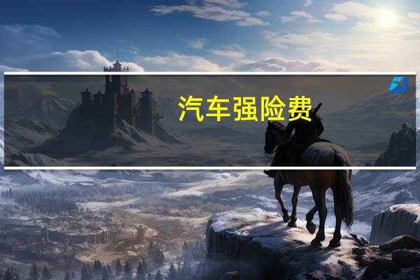 汽车强险费