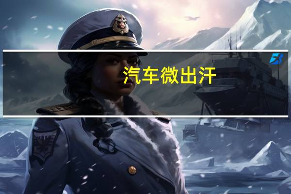 汽车微出汗
