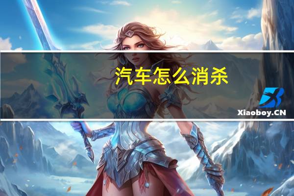汽车怎么消杀