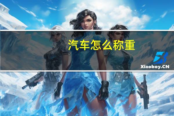 汽车怎么称重