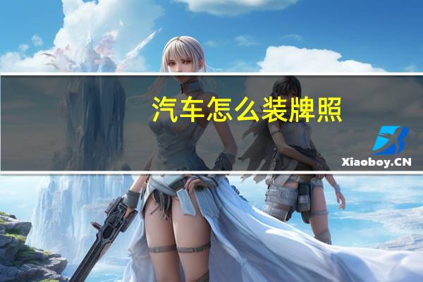 汽车怎么装牌照