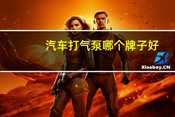 汽车打气泵哪个牌子好