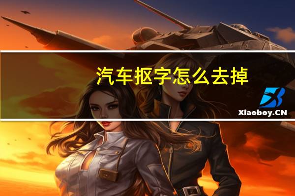 汽车抠字怎么去掉
