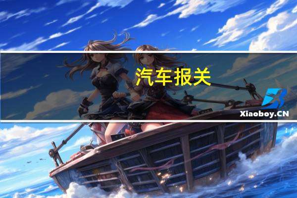 汽车报关