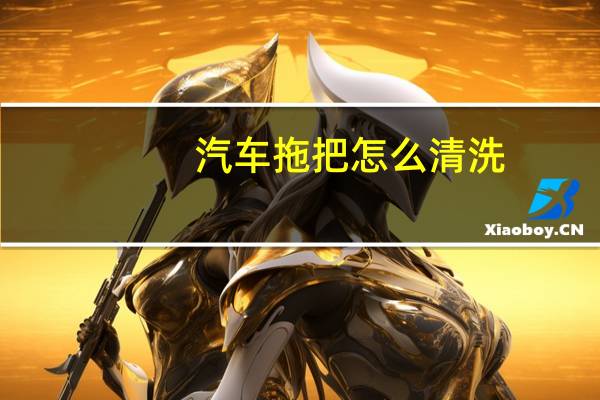 汽车拖把怎么清洗