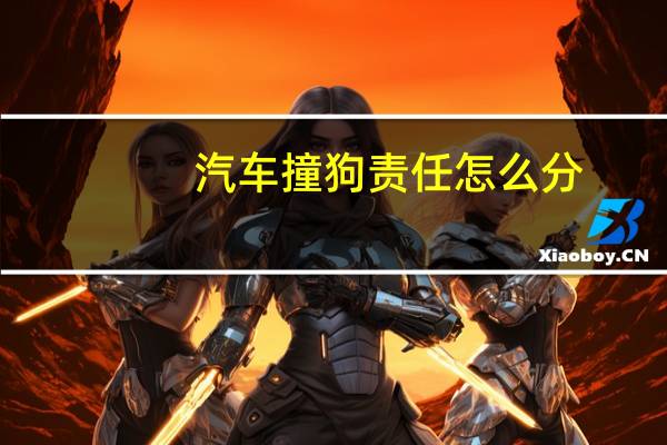 汽车撞狗责任怎么分