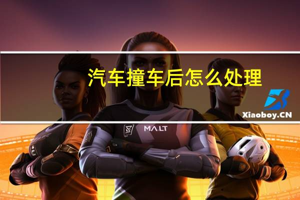 汽车撞车后怎么处理