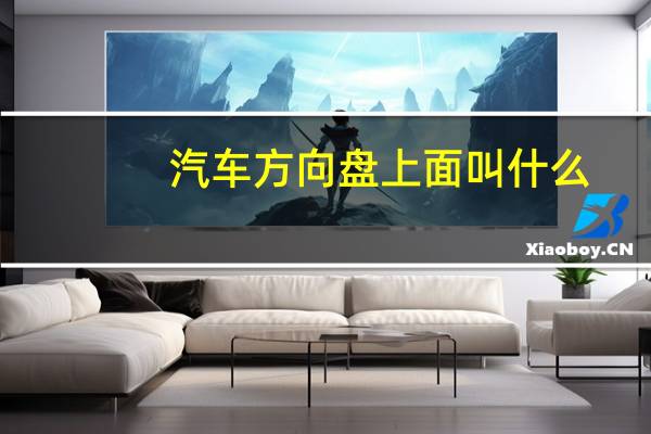 汽车方向盘上面叫什么