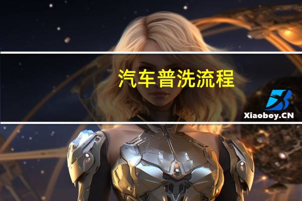 汽车普洗流程