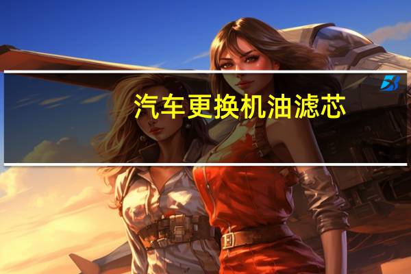 汽车更换机油滤芯