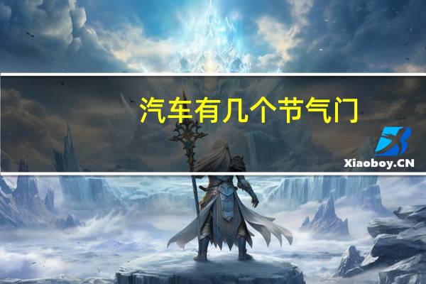 汽车有几个节气门