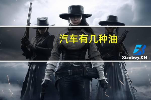 汽车有几种油