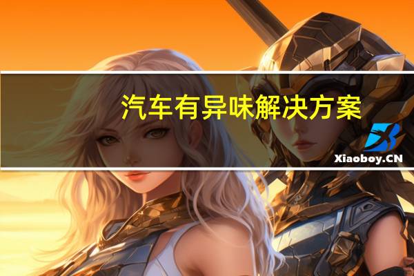汽车有异味解决方案