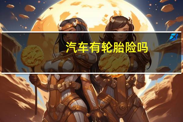 汽车有轮胎险吗